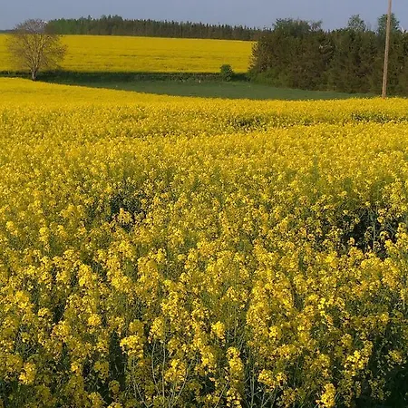 Au Grenier Cosy * Lor